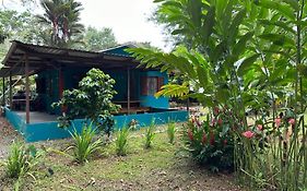 Mono Azul Cahuita